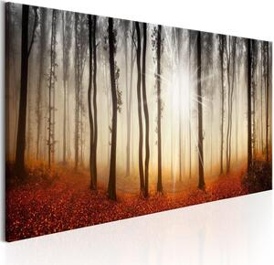 Canvas Tavla - Autumnal Fog - 135x45