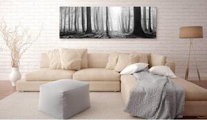 Canvas Tavla - Black and White Forest - 120x40