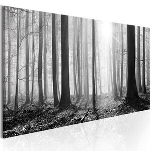 Canvas Tavla - Black and White Forest - 120x40