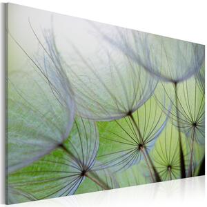 Canvas Tavla - Dandelion in the wind - 60x40