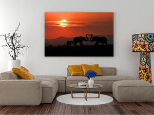 Canvas Tavla - Elephants in Love Wide - 60x40
