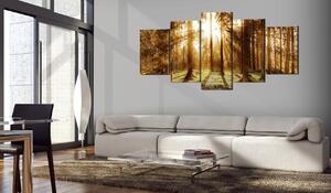 Canvas Tavla - Forest Illumination - 100x50