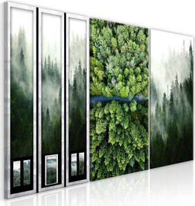 Canvas Tavla - Forest (Collection) - 60x30