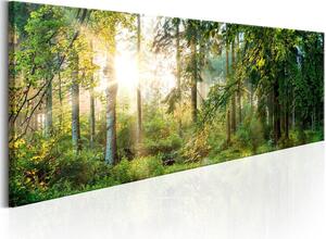 Canvas Tavla - Forest Shelter - 120x40