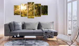Canvas Tavla - Magic of Forest - 200x100
