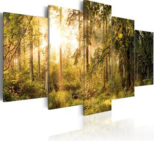 Canvas Tavla - Magic of Forest - 100x50
