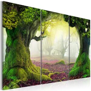Canvas Tavla - Mysterious forest - triptych - 90x60