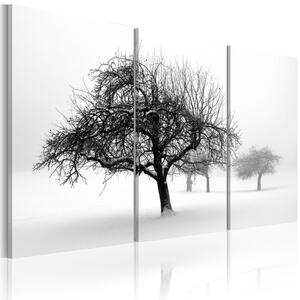 Canvas Tavla - Trees submerged in white - 120x80
