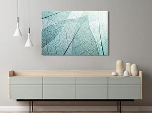 Canvas Tavla - Macroflora Wide - 60x40