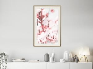 Inramad Poster / Tavla - Cotton Flowers - 20x30 Svart ram med passepartout