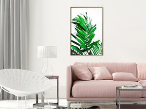 Inramad Poster / Tavla - Emerald Palm - 20x30 Svart ram