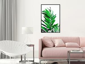 Inramad Poster / Tavla - Emerald Palm - 20x30 Svart ram med passepartout