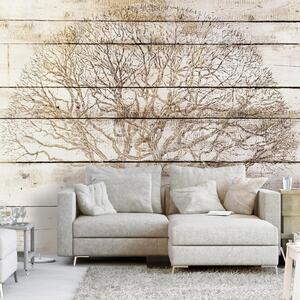Fototapet - Tree on Boards - 100x70