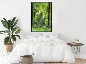 Inramad Poster / Tavla - Forest Path - 30x45 Guldram