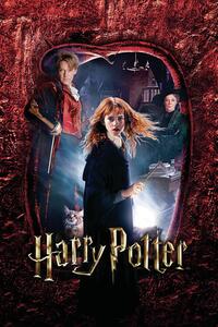 Konsttryck Harry Potter - Hermione Granger