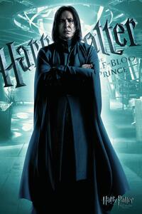 Konsttryck Harry Potter - Severus Snape