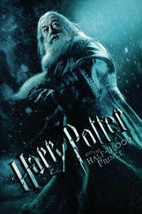 Konsttryck Harry Potter - Albus Dumbledore