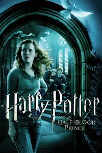 Konsttryck Harry Potter - Hermione Granger