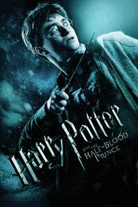 Konsttryck Harry Potter and The Half-blood prince