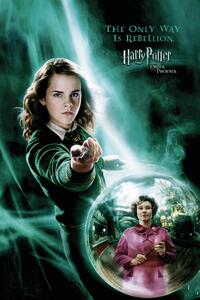 Konsttryck Harry Potter - Hermione Granger