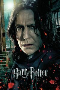 Konsttryck Harry Potter - Severus Snape