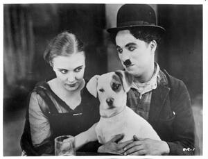 Fotografi Charles Chaplin In 'A Dog's Life', Archive Photos