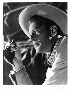 Fotografi Gary Cooper, Archive Photos