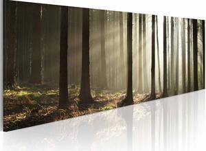 ARTGEIST Morning in the woods bild - flerfärgad canvastavla