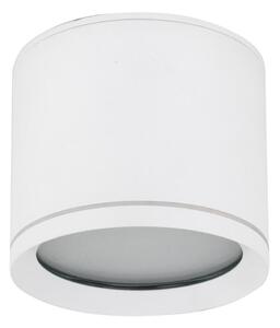 Spotlight VIVO 1xGX53/10W/230V 10 cm vit