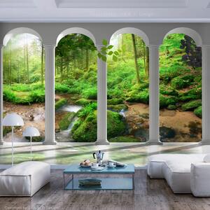ARTGEIST Fototapet - Pillars and Forest, skog sedd genom pelare