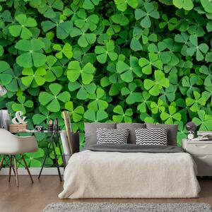 ARTGEIST Fototapet - Green Clover, kl&oumlverf&aumllt