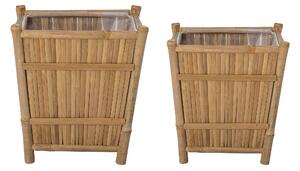 Blomkruka Sole, set om 2
