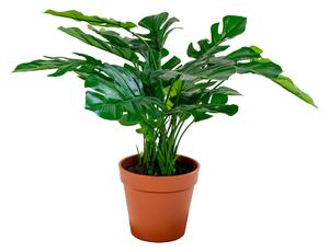 HOUSE NORDIC kunstig Monstera-v&aumlxt - gr&oumln plast och polyester