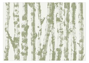 Fototapet - Stately Birches - Third Variant - 150x105