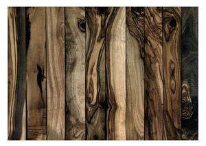 Fototapet - Olive Wood - 200x140