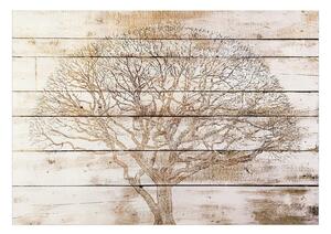 Fototapet - Tree on Boards - 100x70