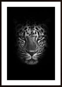 Amur Leopard Poster