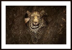 Leopard Resting On A Tree At Masai Mara Poster