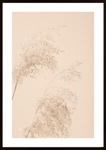 Reed Grass Beige 06 Poster