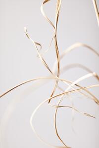 Konstfotografering Dried Grass Grey 02, Studio Collection, (26.7 x 40 cm)