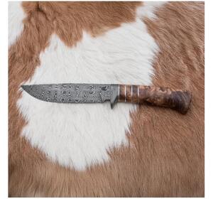 Exklusiv Damaskus kniv 14,4 cm Kastanjeträd/mammuttand