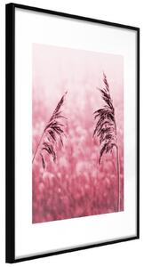 Inramad Poster / Tavla - Amaranth Meadow - 40x60 Svart ram