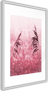 Inramad Poster / Tavla - Amaranth Meadow - 40x60 Svart ram