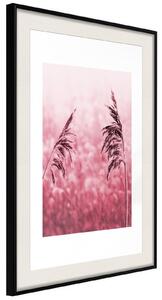 Inramad Poster / Tavla - Amaranth Meadow - 20x30 Guldram med passepartout
