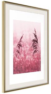 Inramad Poster / Tavla - Amaranth Meadow - 40x60 Guldram