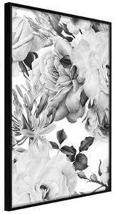 Inramad Poster / Tavla - Black and White Nature - 20x30 Svart ram