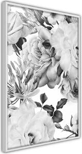 Inramad Poster / Tavla - Black and White Nature - 20x30 Vit ram