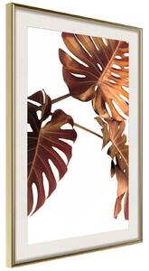 Inramad Poster / Tavla - Copper Monstera - 20x30 Guldram med passepartout
