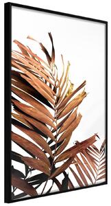 Inramad Poster / Tavla - Copper Palm - 30x45 Guldram med passepartout