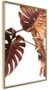 Inramad Poster / Tavla - Copper Monstera - 20x30 Guldram